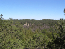 greatwest1.gif (29527 bytes)